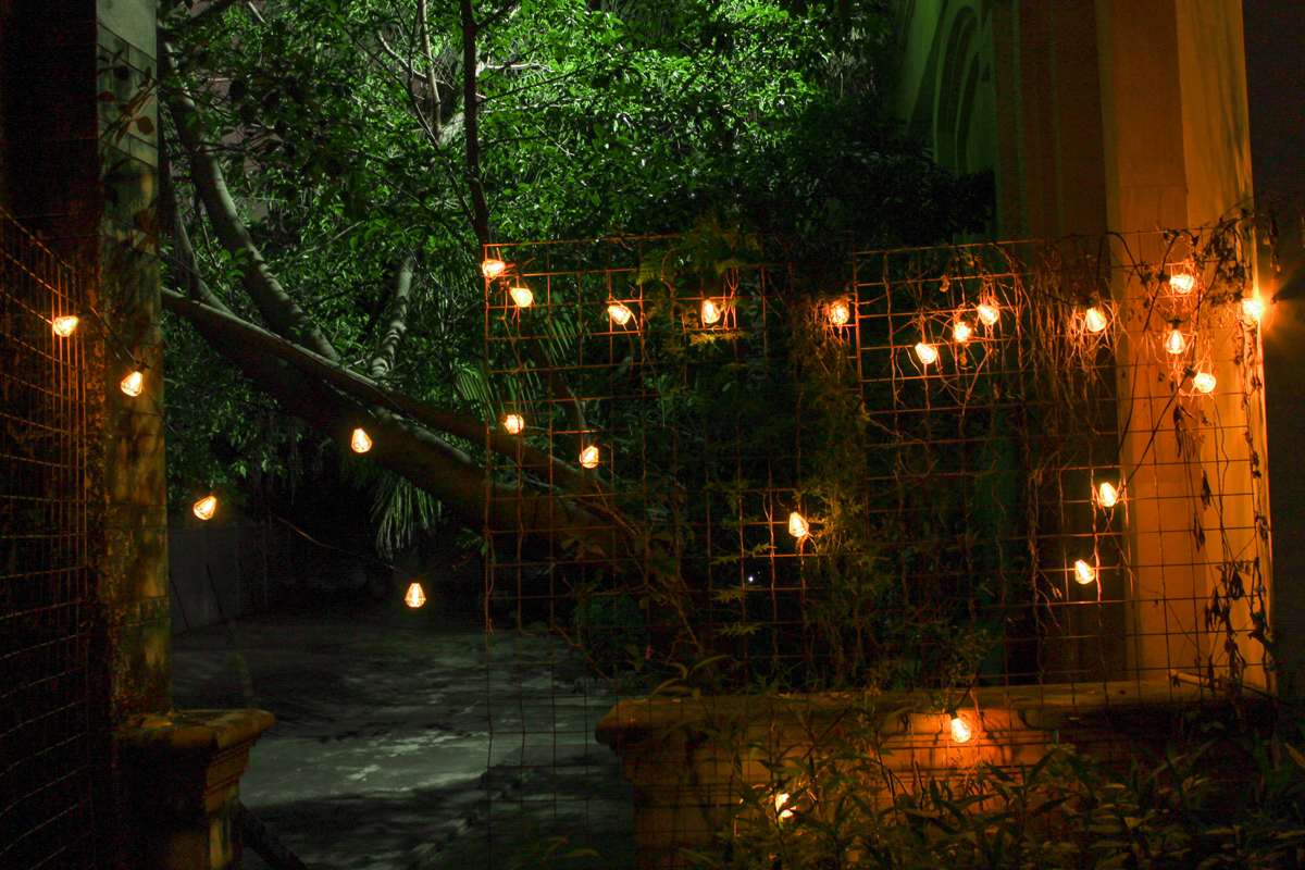Solar Powered Power Efficient Dimmable LED Christmas Decor Dimmable Light String Plastic Shatterproof Bulb Waterproof IP65