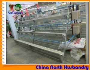 China Poultry Cages Broiler Breeder Layer Cages Battery Cages For wholesale
