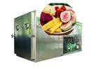 100Kg 200Kg PLC Controlled Lyophilizer Food Vacuum Freeze Dryer