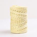 Iron Wired 2mm Paper Rope Eco DIY Twisted Paper Cord Biodegradable
