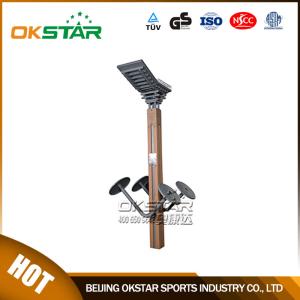 China wooden street lamp outdoor fitness spinner wholesale