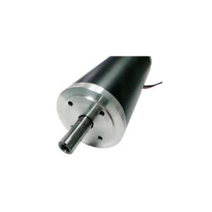 China Long Live Automotive DC Motors Dual Shafts Design Dunker Motors Replacements wholesale