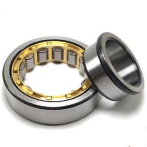China NU205 Gcr15 Rolling Contact Bearing NU 220 Single Row NU200 Series wholesale