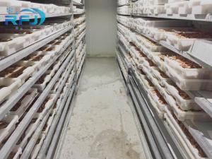 China Fresh Tuna Small Tunnel Plate Blast Walk In Freezer Industrial Seafood Iqf Cold Contact Panel wholesale