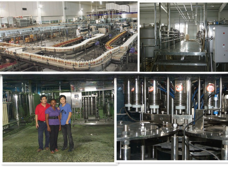 Fully Automatic Mineral Water Production Plant for Beverage Production Optimization
