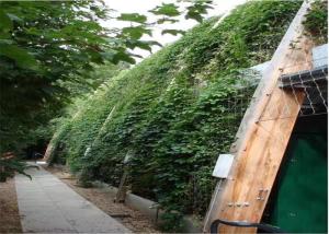 China High Intensity Stainless Steel Trellis Abrasion Resistant Without Toxic Material wholesale