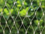 Stainless Steel Wire rope aviary mesh