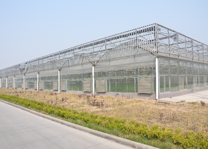 Modular Agricultural Greenhouse For Sale Dome Roof Cover Film Side Cover Multi Span Cucumber Lettuce Growing
