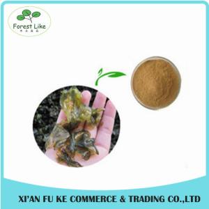 China Reliable Supplier Best Discout for Red Clover Extract wholesale