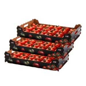 China Biodegradable Fruit Box Carton Box Fruit Vegetable Apple Box Packaging wholesale