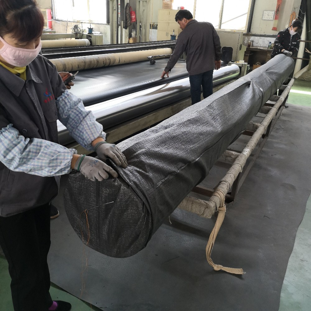 PP PET Geotextile for Landfill Project Non Woven Geo Fabric Needle Punched Sample Free