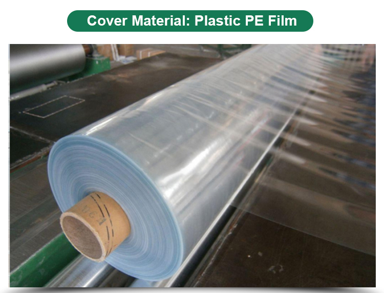 Vegetables Growing Multi-span Film Greenhouse 3m Height with Hot-dip Galvanized Pipe