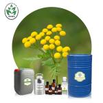 CAS 8016-87-3 Wholesale price Tanacetum annuum oil 100% pure natural organic