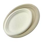 100 Compostable Oval Fruit Food Paper Bagasse Sugarcane Biodegradable Plates