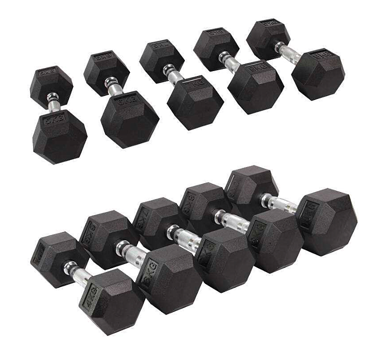 Steel Physical Fitness Gear 10 Lb Cast Hex Dumbbell Rubber Coated 5 Lb