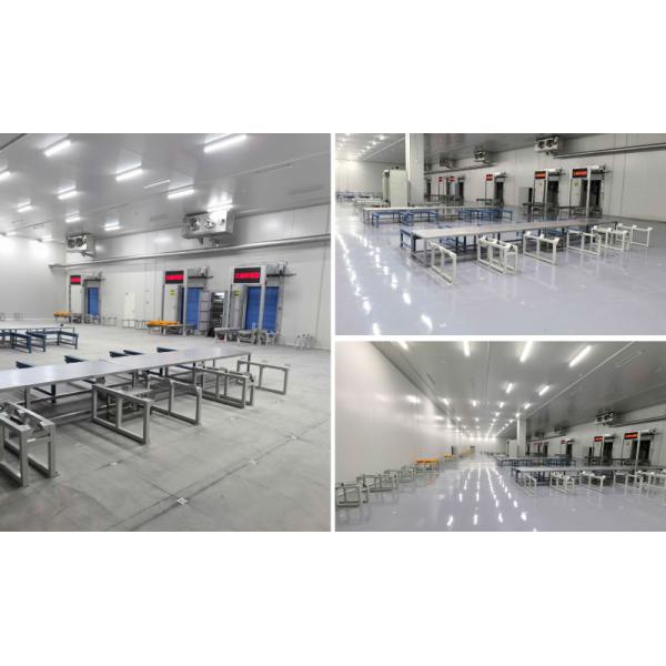 Cold Storage Warehouse ASRS