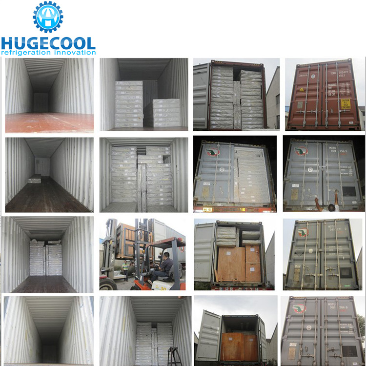 Freezer Cold Room For Frozen Fish Storage