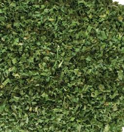 China FD Chives wholesale