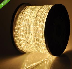 China flexible led light 2 wire warm white christmas rope lights wholesale