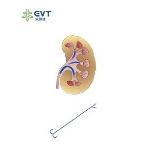 China High Value Ureteral Access Sheath Endourology Practices Access Sheath Urology wholesale