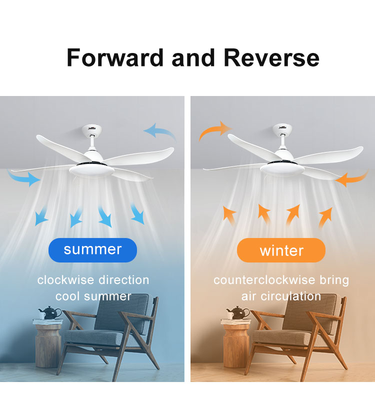 1stshine Ceiling Fan 10 for Motor Easy Clean Black Plastic Blades Remote Control and Light