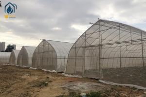 China PE PO Film Tunnel Greenhouse Commercial Agricultural Greenhouse Customizable wholesale