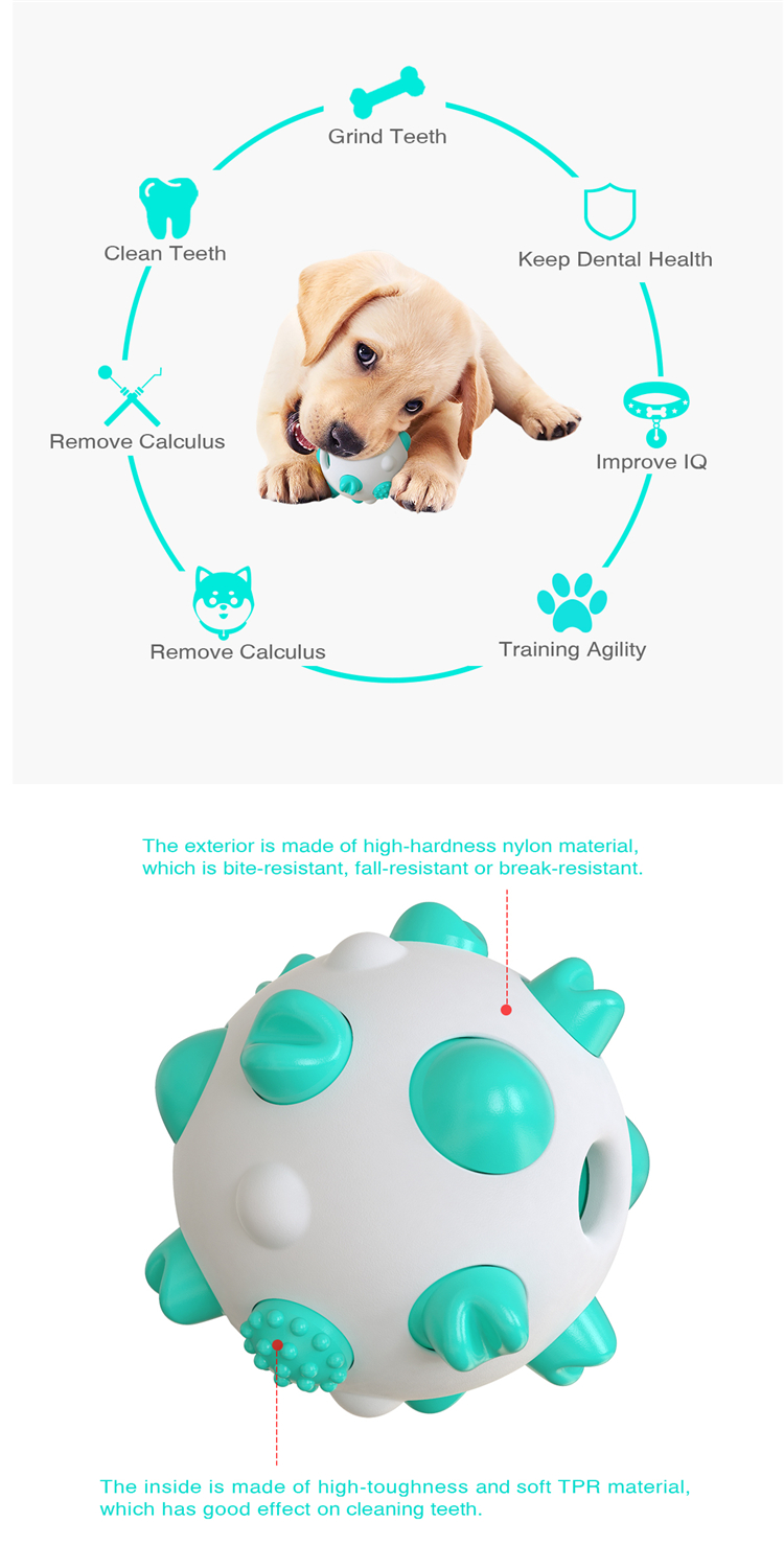 2021 Durable Interactive Dog Puzzle Toothbrush Toy Bite Resistant Ball Pet Chew Toys