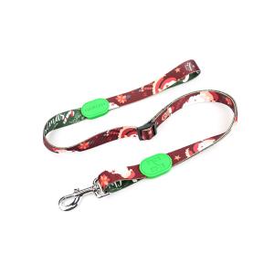China 5 Foot 4 Foot Anti Pull Dog Leash wholesale