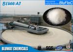 Anionic Polyacrylamide Homopolymer Flocculant Off - White Granular Powder