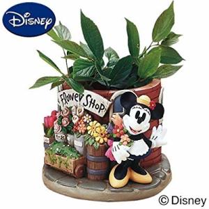 China OEM Interior Decorative Flowerpot with Wholesale Price wholesale