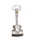 Low Temperature DN40 CF8 304 Stainless Steel Stop Valve