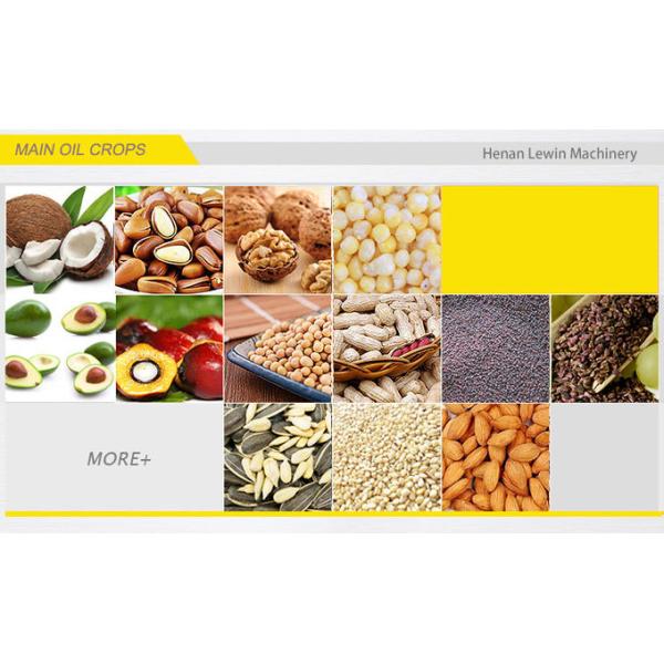 Sunflower 23kg/Batch 3kw Hydraulic Oil Press Machine