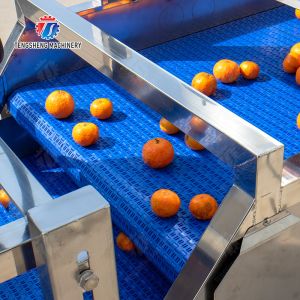 vegetable drying equipment Fruit and vegetable selection washing and drying