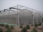 Easy Install Plastic Film Greenhouse , Dome Shaped Greenhouse Span Width 6 / 8 /