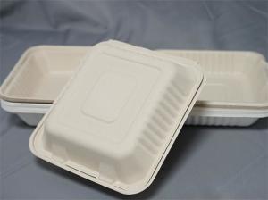 China White Hinged Bagasse Takeaway Boxes 431x199x38mm wholesale