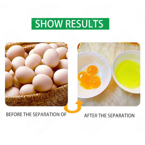 egg breaking machine egg separator machine / industrial egg white yolk separator machine / egg cracker with separator