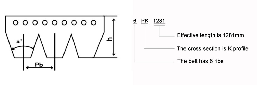 ISO/TS16949 Certified V-Belt for Diesel Engine Fan Belt in Food Beverage