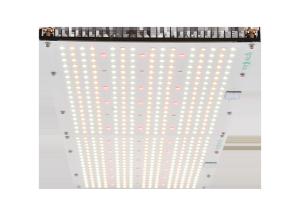 China Quantum Board 2.5umol/J 240W High PPFD Grow Light wholesale