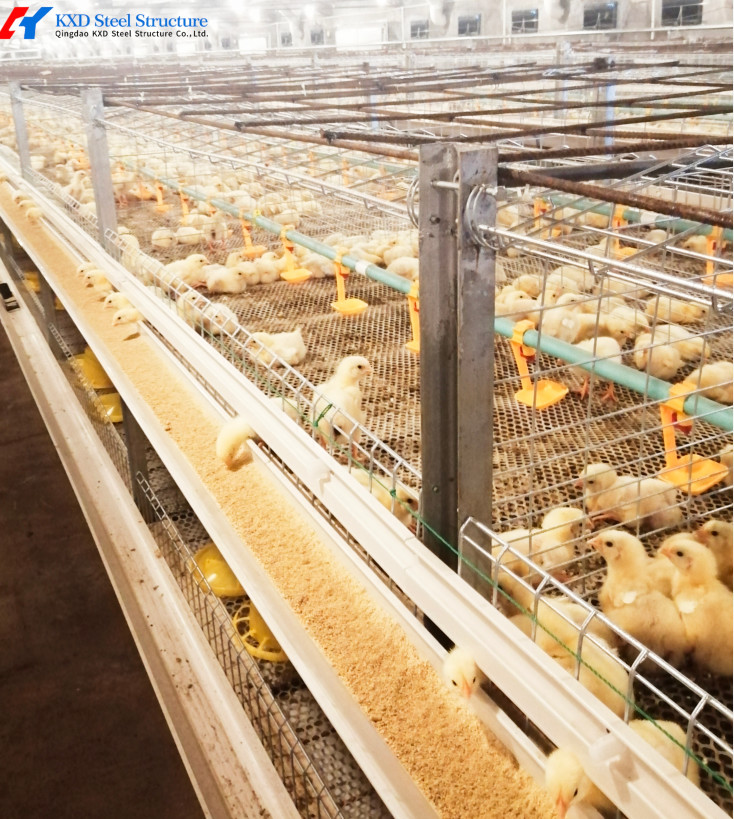 Hot Dip Galvanized Steel Poultry Farming Cage Automatic Meat Broiler Battery Cages