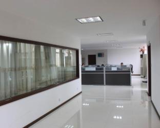 SATIS CO., LIMITED
