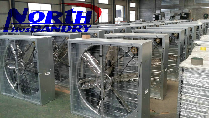 swung drop hammer exhaust fan for poultry farm(poultry equipment biggest manufacturer in c