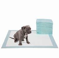 China PE Pet Urine Pad Eco Friendly Genebest 36x36 Pee Pads wholesale