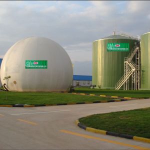 Customized Round Double Membrane Biogas Holder With Long Lifespan