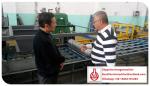 Adjustable Size Sandwich Production Line , Outside Wall Heat Preserving Mgo