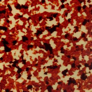 China Alkali Resistance High Strength Celluloid Plastic Sheet For Hair Clips wholesale