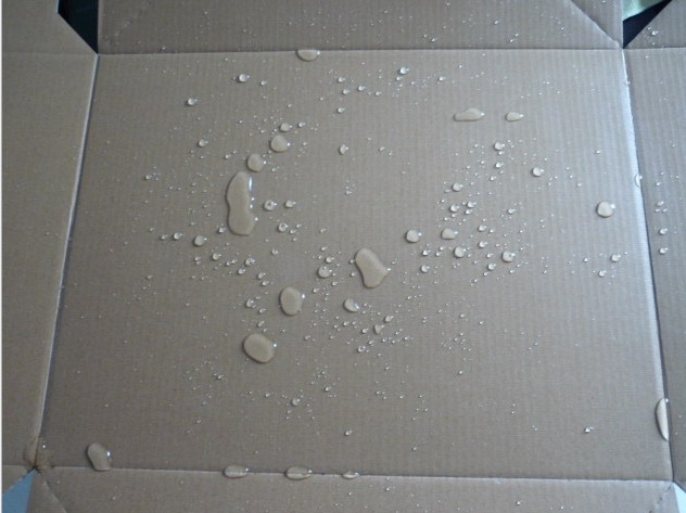 Sea food box wax coat machine factory price