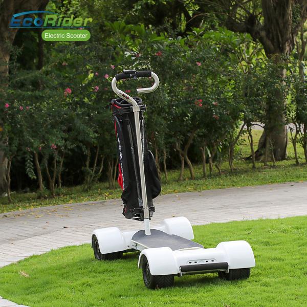 Removable Battery Scooter Golf Bag Carrier 10.5 Inch Tire 4 Hour Full Charging