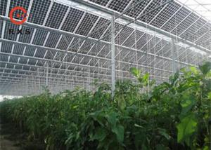 China Industrial Monocrystalline Double Glass PV Modules 305W 60 Cells Transparent wholesale