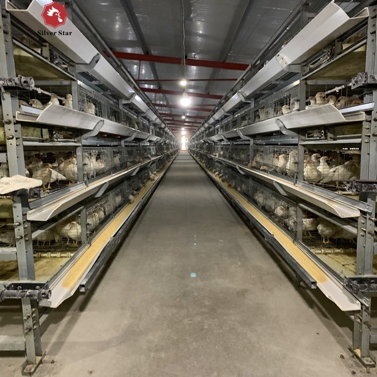 Hot Dip Galvanized Wire H Type Battery Cages for Broiler Chicken With Auto Feeding System