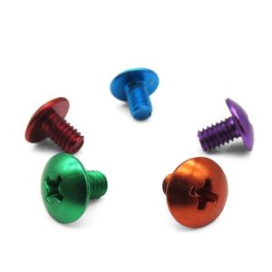 China Plastic Umbrella Head Screw Phillips Anodized Aluminum Special Screw wholesale